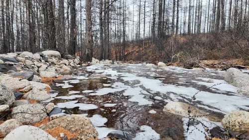 Natural Spring Creek