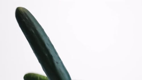 Large green whole cucumbers bouncing on white backdrop in slow motion