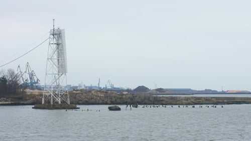 Fernsicht geschäftige Hafenkräne im Hafen von Liepaja, große Trockenfrachtschiffe legten an, bewölkter Tag