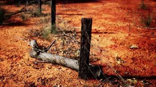 Fragment of an Old Fence with Rusty Barbed Wire