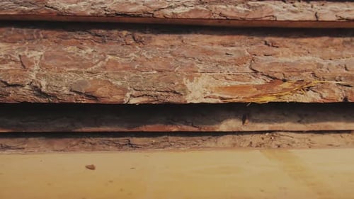 Wood Factory Stock and Lumber Board with Nature Business Export the Camera Moves Forward Slow Motion