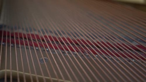Grand Piano Strings Close Up Interior View