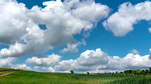 Rural landscape