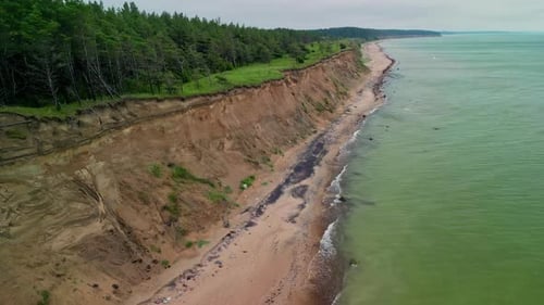 Aerial drone forward moving shot over wavy ocean along dense forest with green trees under cloudy da