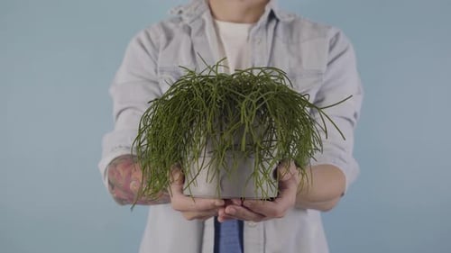 Tattooed Man Holding Potted Plant with Two Hands Against Blue Background
