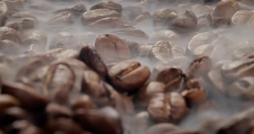Close up of seeds of coffee. Fragrant coffee beans are roasted smoke comes from coffee beans.