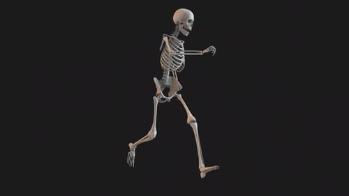 Skeleton Energetic Run Loop 02