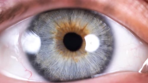 Ein Auge aus Nahaufnahme