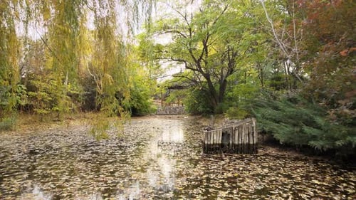 Herbst-See-Blatt