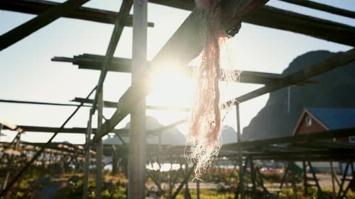 Sunlit Wooden Racks in Rural Landscape