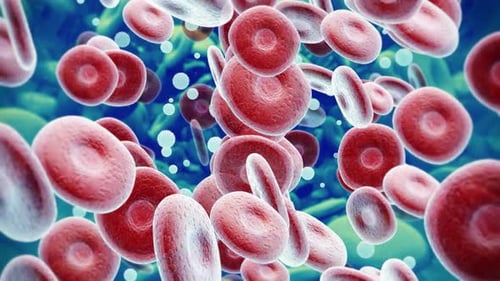 Red Blood Cells