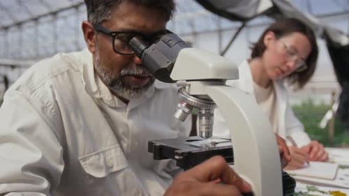 Scientist Using Microscope in Greenhouse Laboratory