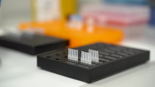 Gloved Hand Placing Vials in Rack