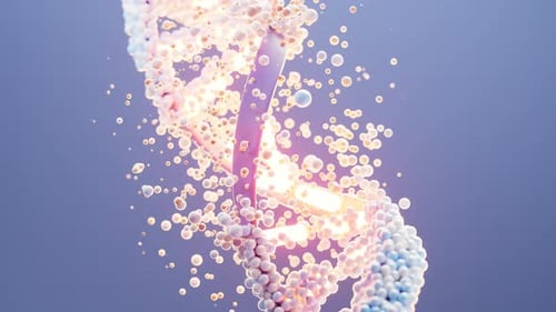 Loop DNA with biological concept