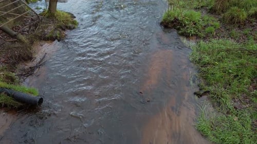 Stream in England with waste pipe pollution into waterway and wildlife environment