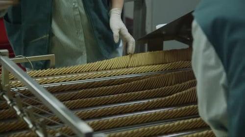 Food Factory Employees Inspect Cookies on Conveyor Belt