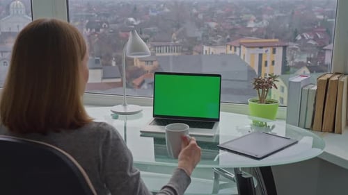 Freelancer Works at Home Office