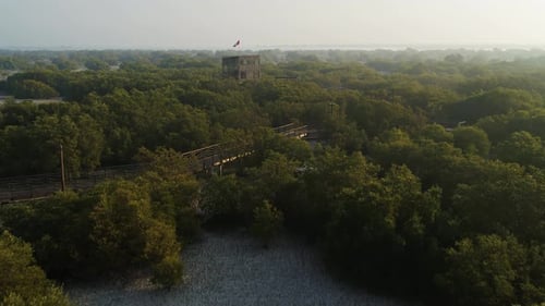 Aerial view of Jubail Mangrove Park, Abu Dhabi, United Arab Emirates.