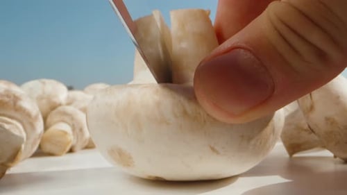 des champignons éparpillés sur une table blanche, j'en coupe un en deux, et la caméra les traverse.