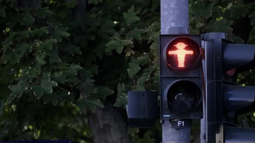 Sinal verde seguro para atravessar a rua para pedestres debaixo da árvore