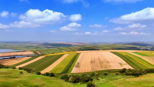 Expansive fields under bright blue sky. Lush green and golden fields stretch across the landscape
