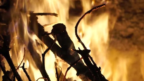 Blazing Fire Burning at Night
