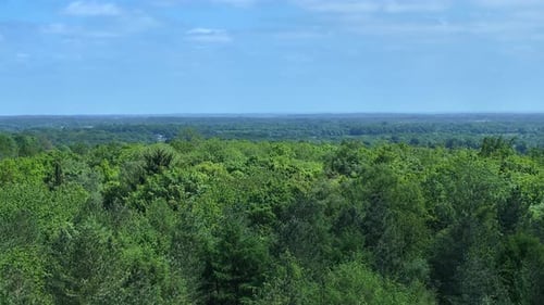 Forest and Woodland in the UK From an Aerial View