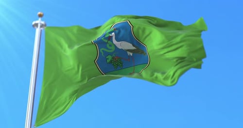 Realistic Green Flag with Stork and Grapes Waving in Wind