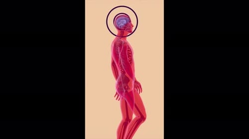 Conceptual vertical animation of the brain