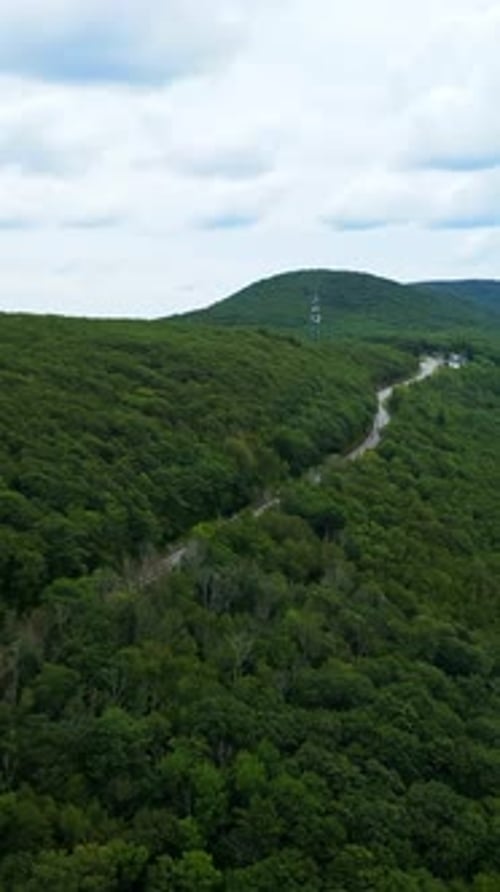 Vertical aerial view of rural road cutting through dense forest in Berkshire Mountains of