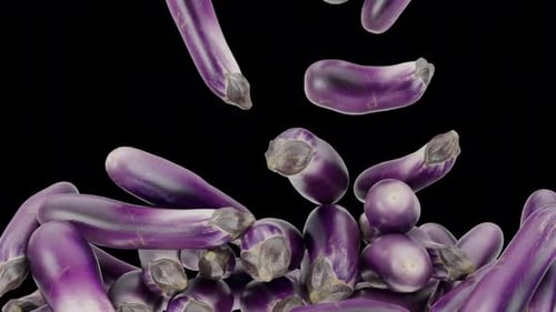 Falling Realistic Purple Eggplants Loop Animation