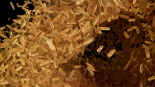 Golden Rice Rises and Falls wurde mit einer Hochgeschwindigkeitskamera mit 1000 Bildern pro Sekunde gefilmt
