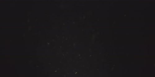 Dust Particles Floating