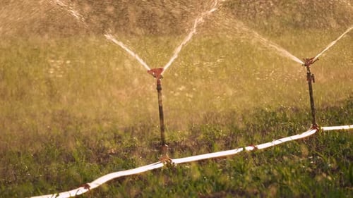 Field Irrigation