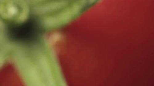 kleine zerbrochene Kirschtomate, Videofolie, Nahaufnahme.