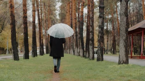 Young Man in a Coat Walking on the Path in an Autumn City Park Between the Trees Under a Transparent