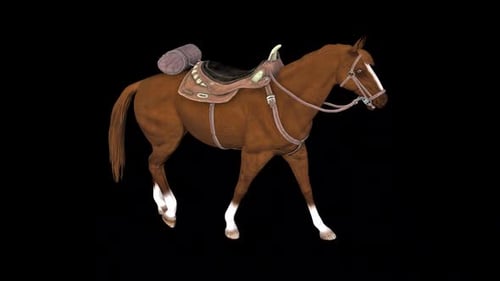 Brown Horse Slow Walk Idle