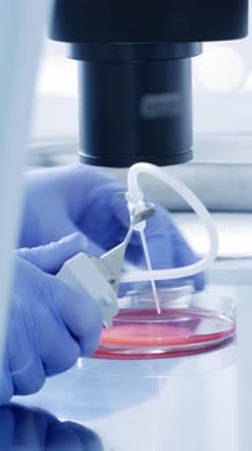 Fortschrittliche Labortechniken, die in innovativen biotechnologischen Forschungsinitiativen eingesetzt werden