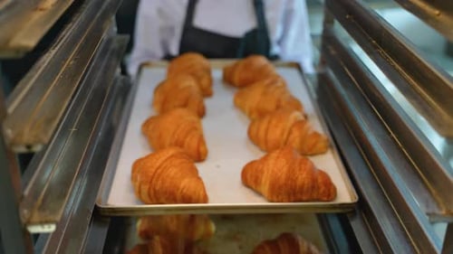Golden Croissants Freshly Baked in Restaurant Kitchen