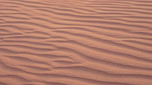 Hintergrund mit Natur: Sanddünen in der Roten Wüste in den Vereinigten Arabischen Emiraten