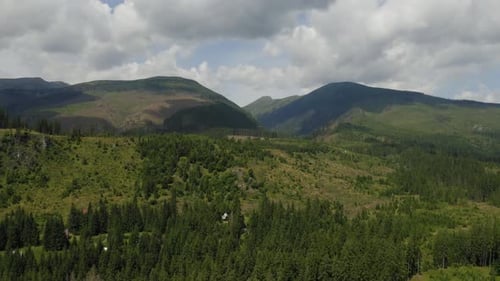 Aerial View of Scattered Trees in Mountain, Result of Deforestation Damage