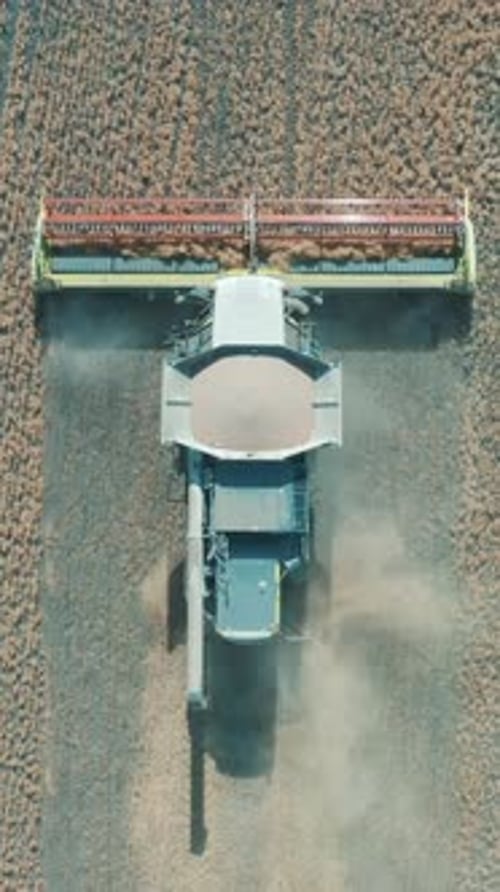 Combine Harvester Working in the Vast Field