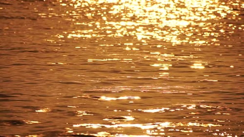 Blurred Golden Sea at Sunset