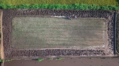 Luftaufnahme von Landwirten mit Traktor im Feld, Indonesien.