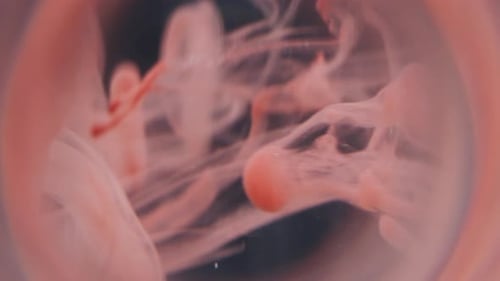 Dripping Ink Blur Mix Smoke Circle Lens Flow Curl