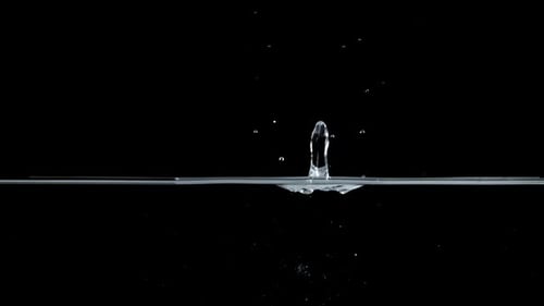 Water droplet collision creates crown shape in dark environment