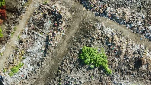 Aerial top view of huge landfill pile of dump and trash within mangroves trees in rainforest, Bali,