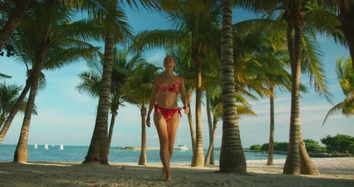 Happy woman walking along sandy tropical beach lined with tall palm trees and blue sky