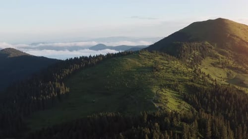Beautiful lighting. Majestic Carpathian Mountains. Beautiful landscape of untouched nature