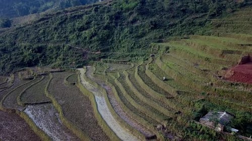 Pull-back Aerial view to wide angle over amazing rice terraced green misty mountains in Sapa, Vietna